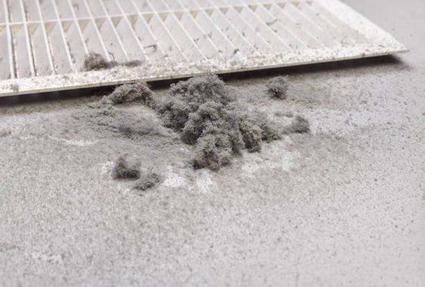 Best Air Duct Cleaning Near Me  in Percy, IL