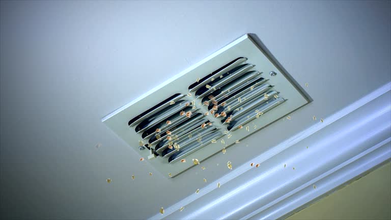  Percy, IL Airduct Cleaning Pros