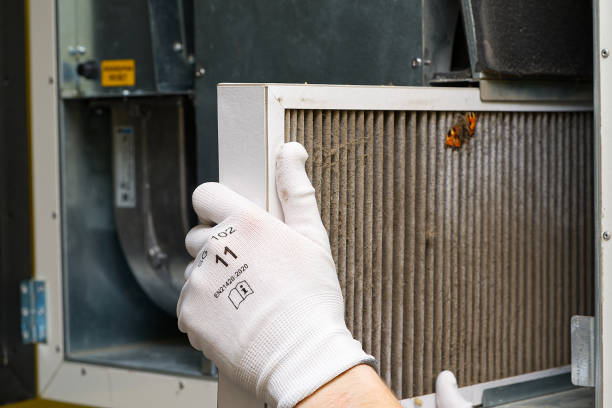 Best Dryer Vent Cleaning Services  in Percy, IL