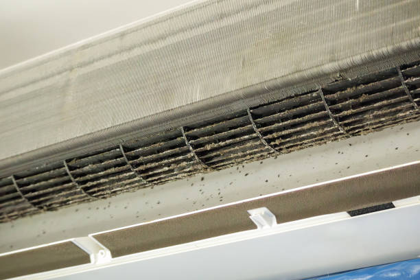 Best Best Air Duct Cleaning Near Me  in Percy, IL